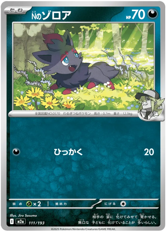 N's Zorua #111