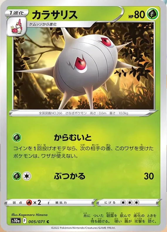 Silcoon #5