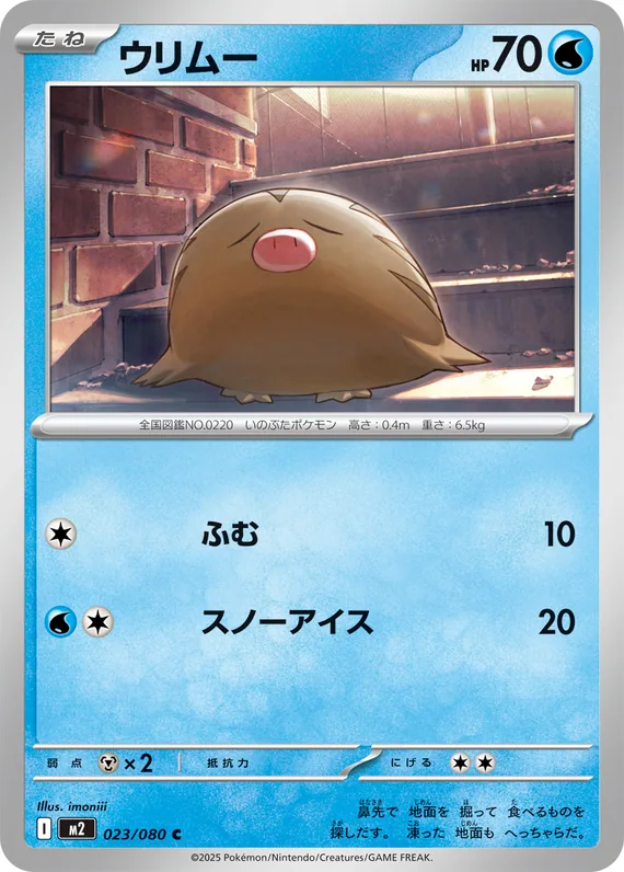 Swinub #23
