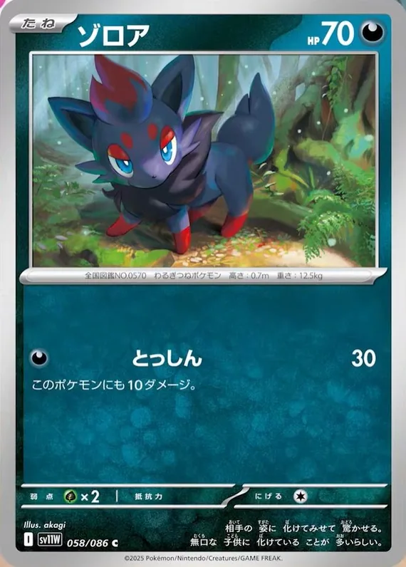 Zorua #58